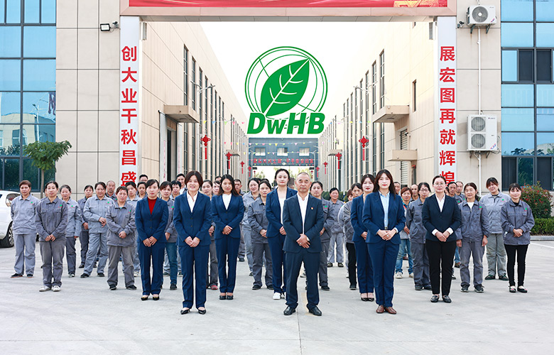 Jiangsu Dongwang Çevre Koruma Teknolojisi Grubu Co., Ltd.